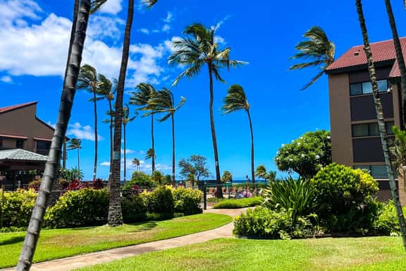 Gorgeous 1bd Grd Fl, AC,WiFi ,Pool, Hottub B110 - Image 1