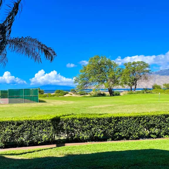 Gorgeous,2 bd, Ocean, AC,wifi,pool, hot tub D104 - Image 1