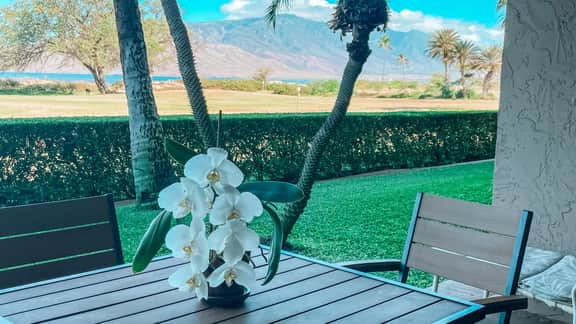 Remodeled One bd Ocean, AC,wifi, pool/hot tub D102 - Image 2
