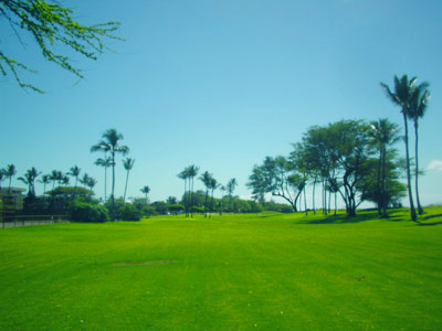 Waipuilani State Park