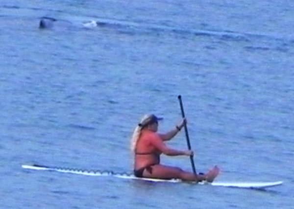 Paddling by A Humpback Whale on Maui